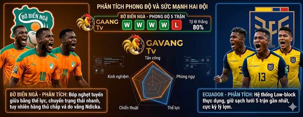Phân tích thống kê phong độ và so sánh sức mạnh giữa đội tuyển Bờ Biển Ngà và Ecuador trước thềm World Cup 2026.